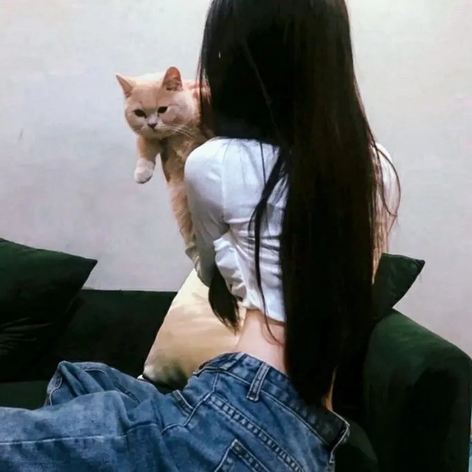 美人谋